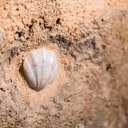I Ruderi Di Santa Maria Del Buon Consiglio Bari